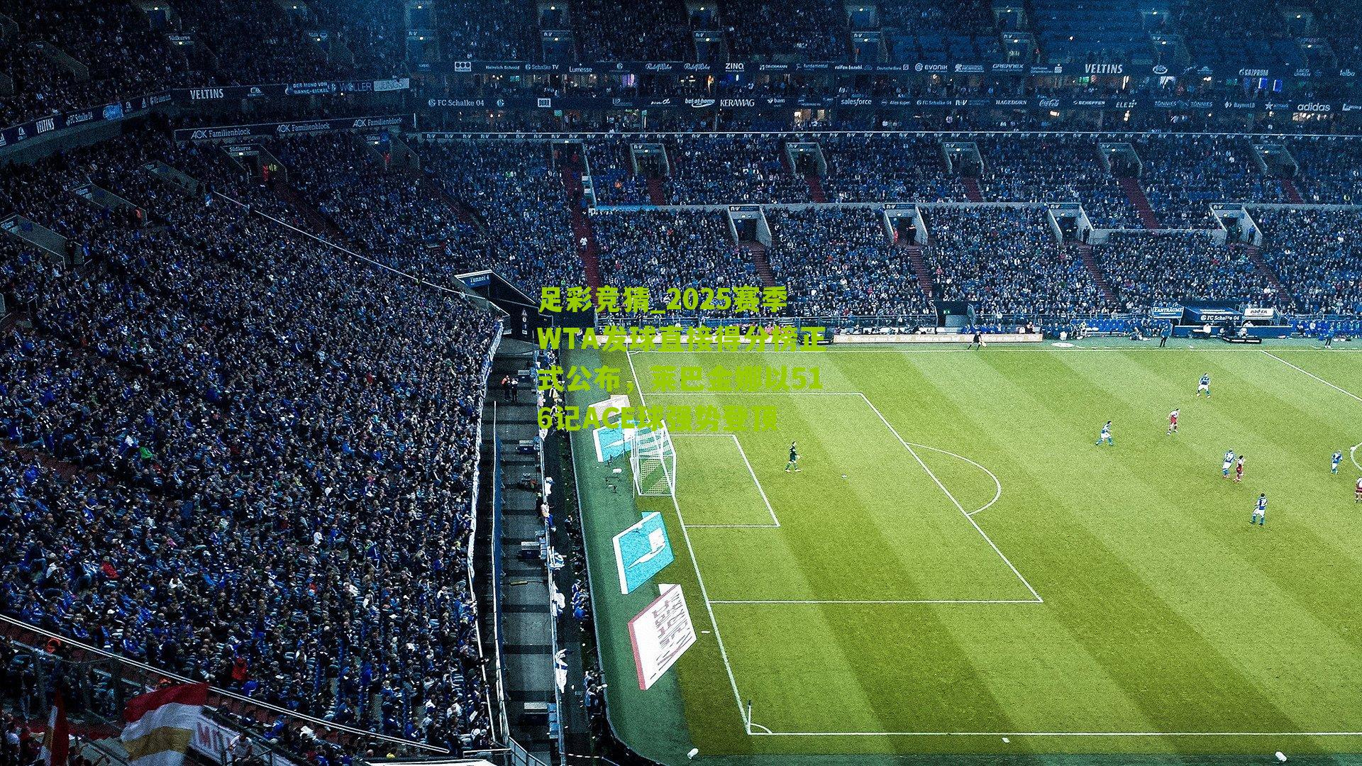 2025赛季WTA发球直接得分榜正式公布，莱巴金娜以516记ACE球强势登顶